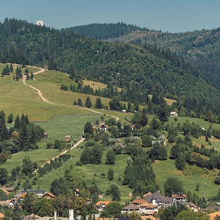 Vila Genia Campulung Moldovenesc Luaran gambar